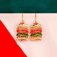 Meenakri Floral Beaded Jhumka