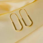 Golden Pin Slim Earrings